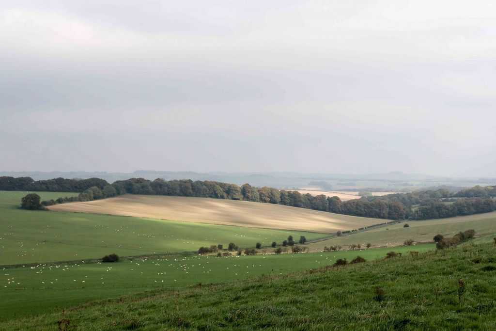 north wessex downs