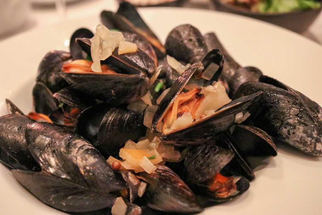 Alba Restaurant Review - Close up of mussels in their shells