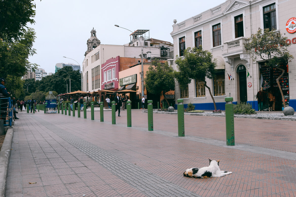 Lima Kennedy Park Miraflores - 3 weeks in Peru Itinerary - Travel Between The Lines