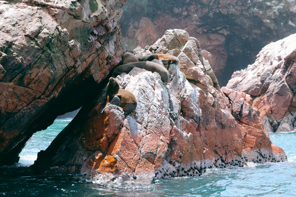 Paracas Ballestas Islands - 3 weeks in Peru Itinerary - Travel Between The Lines