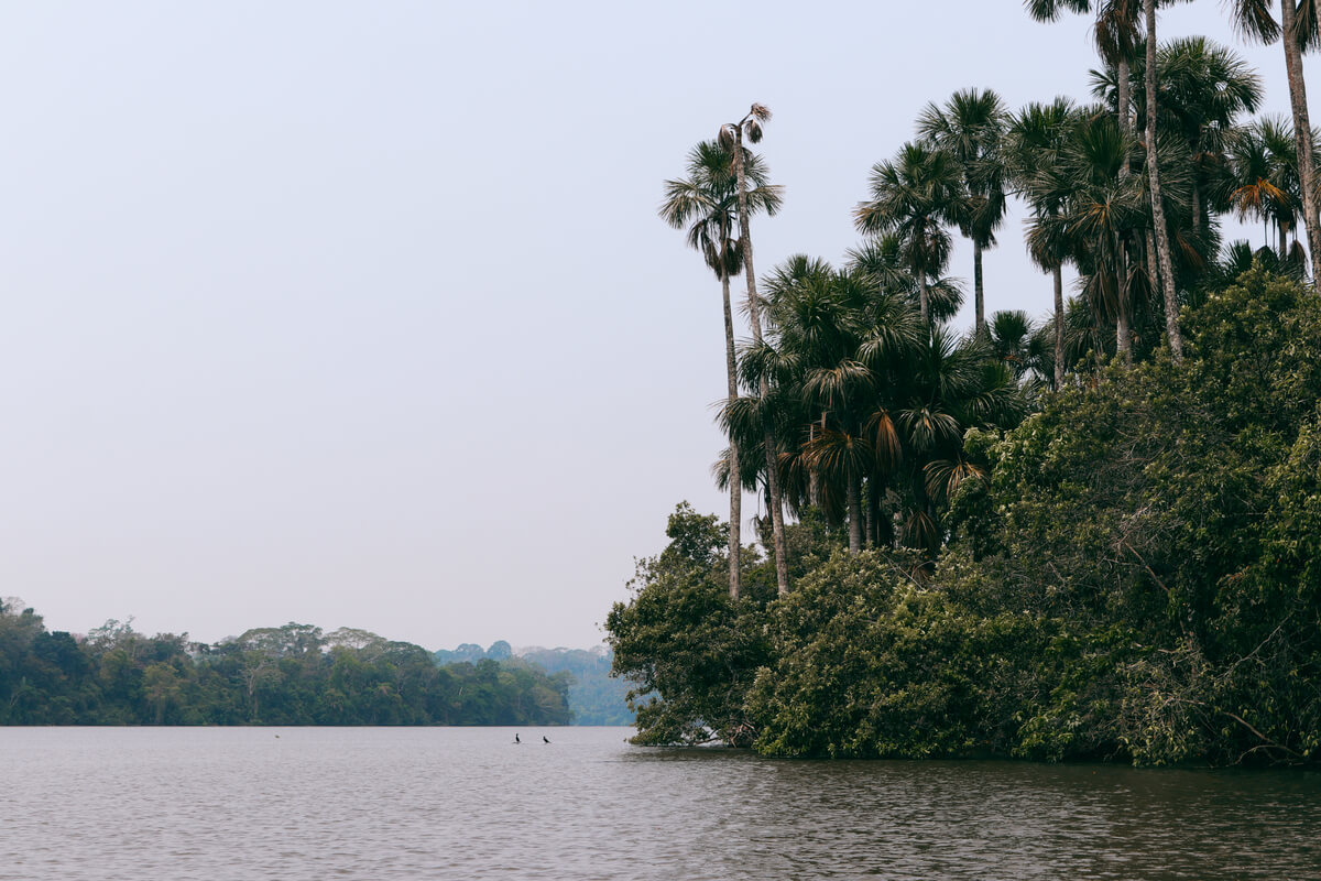 Sandoval Lake - 3 weeks in Peru Itinerary - Travel Between The Lines