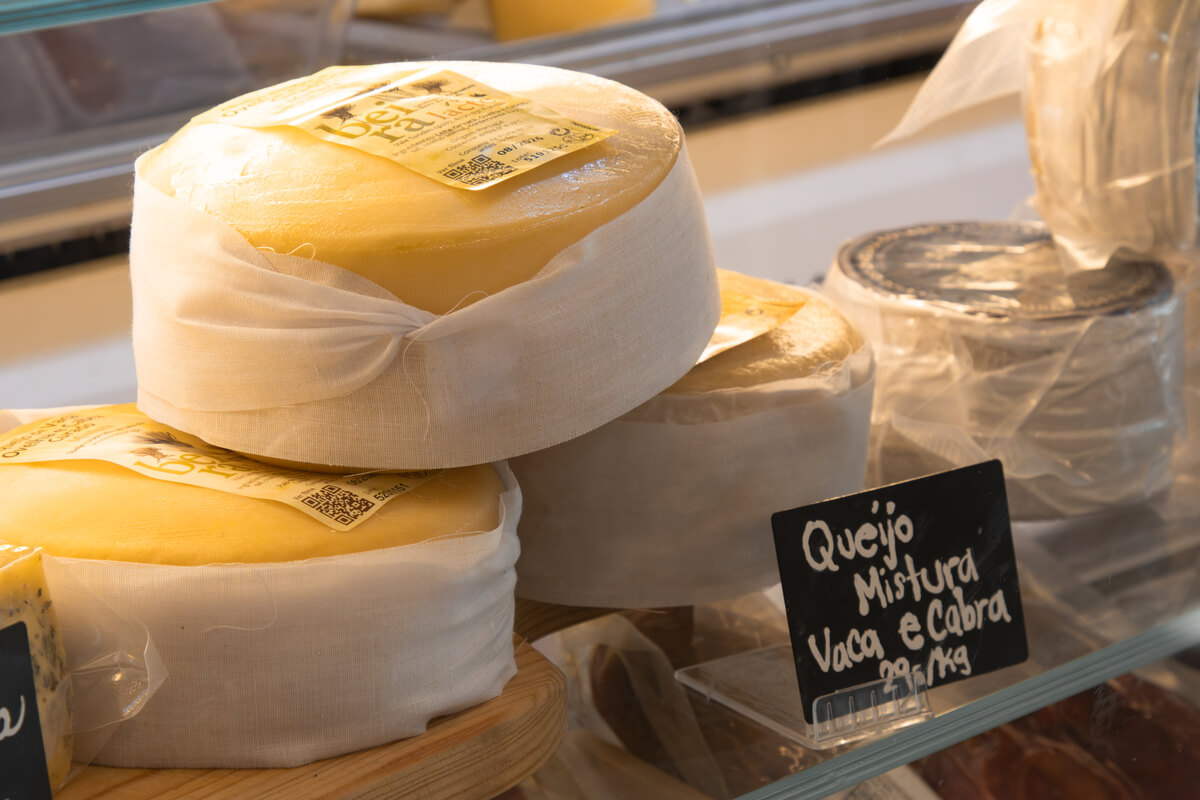 porto best places to eat and drink - tbtl