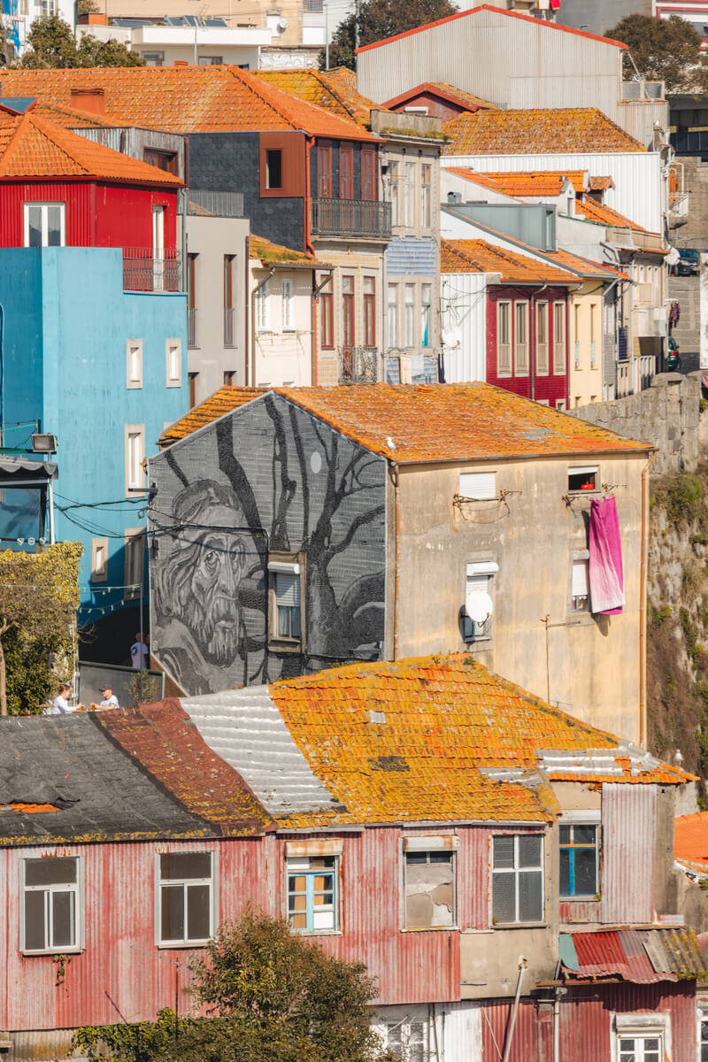 Top things to do in Porto - TBTL