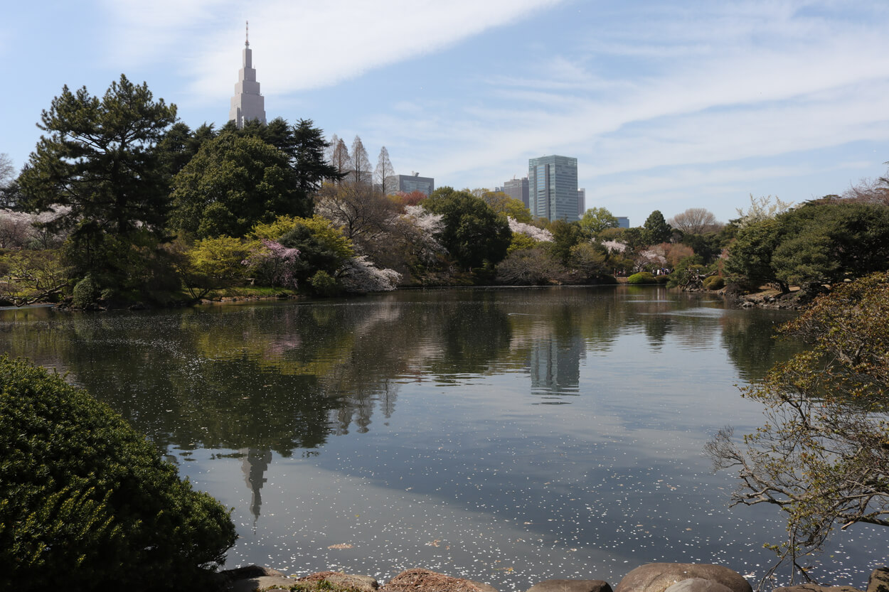 japan - unique honeymoon destinations - tbtl