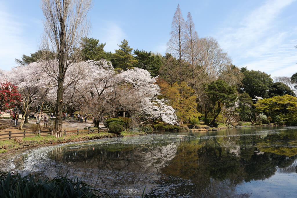 10 days in tokyo itinerary - tbtl
